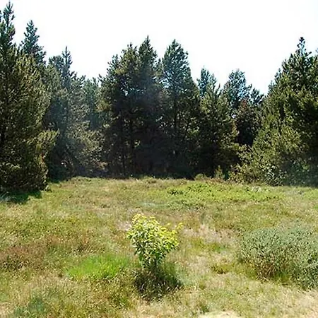 Holiday Helmusager H- 1740 Rømø Kirkeby